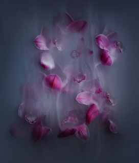 lowerPower III-雾花