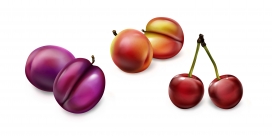 逼真的卡通车厘子樱桃水果素材下载