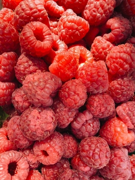 新鲜的茅莓水果图片