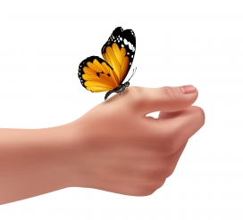 飞在手掌上的蝴蝶素材下载