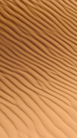 抖音风金色波浪形沙漠图片壁纸