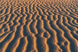 金色波纹沙漠