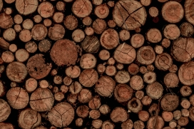 摆放整齐的圆木头