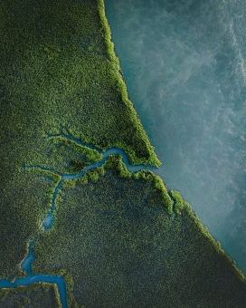 高空俯拍的绿色森林