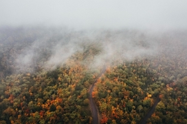 秋季被雾气笼罩的森林公路