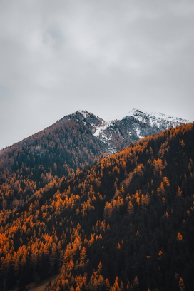 秋季雪山风景图