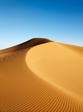 蓝天下的金色沙漠沙丘