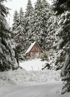 冬季树林中的三角屋顶小屋