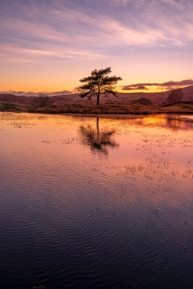 夏季晚霞湖泊风景