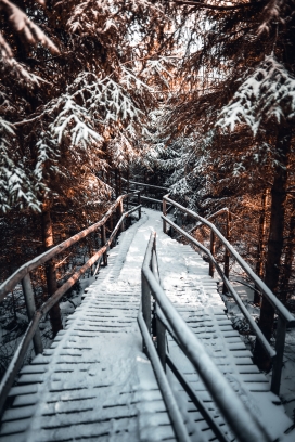 冬季景区栈道小路