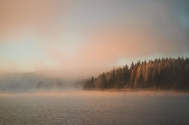 被迷雾包裹的森林湖