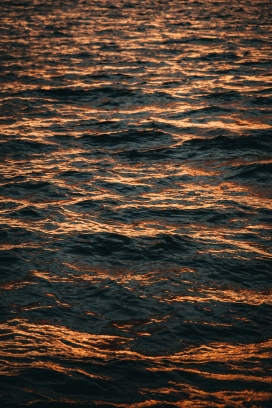 焕发金色的湖面湖水