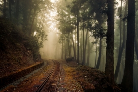 Fog railway-雾铁路