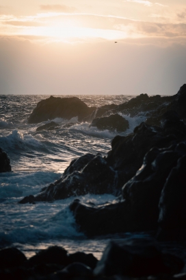 咆哮的海岸线风景