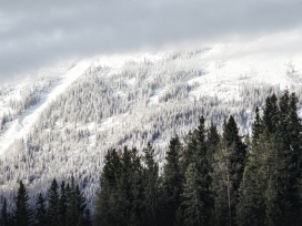 被雪覆盖的雪山风景图