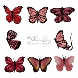 漂亮的手绘蝴蝶昆虫素材