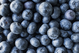 蓝黑蓝莓水果图