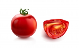 逼真的切片番茄蔬菜素材下载