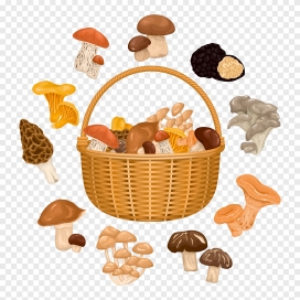 卡通竹篮子与菌类蘑菇素材下载