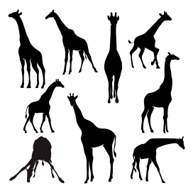长颈鹿动物剪影素材下载
