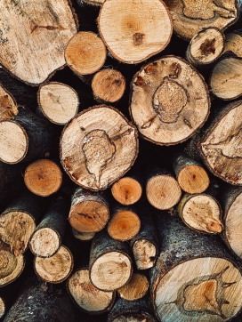 砍伐摆放整齐的木头