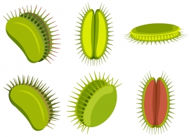 卡通绿色含羞草素材下载