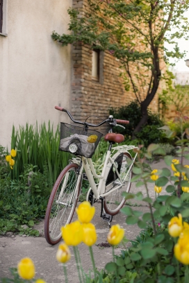 花园里的自行车