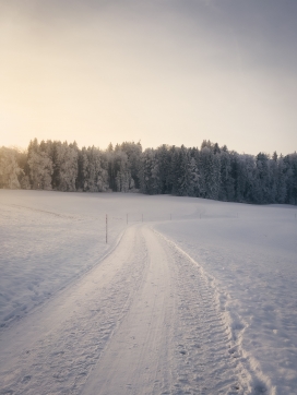 冬季雪路风景图