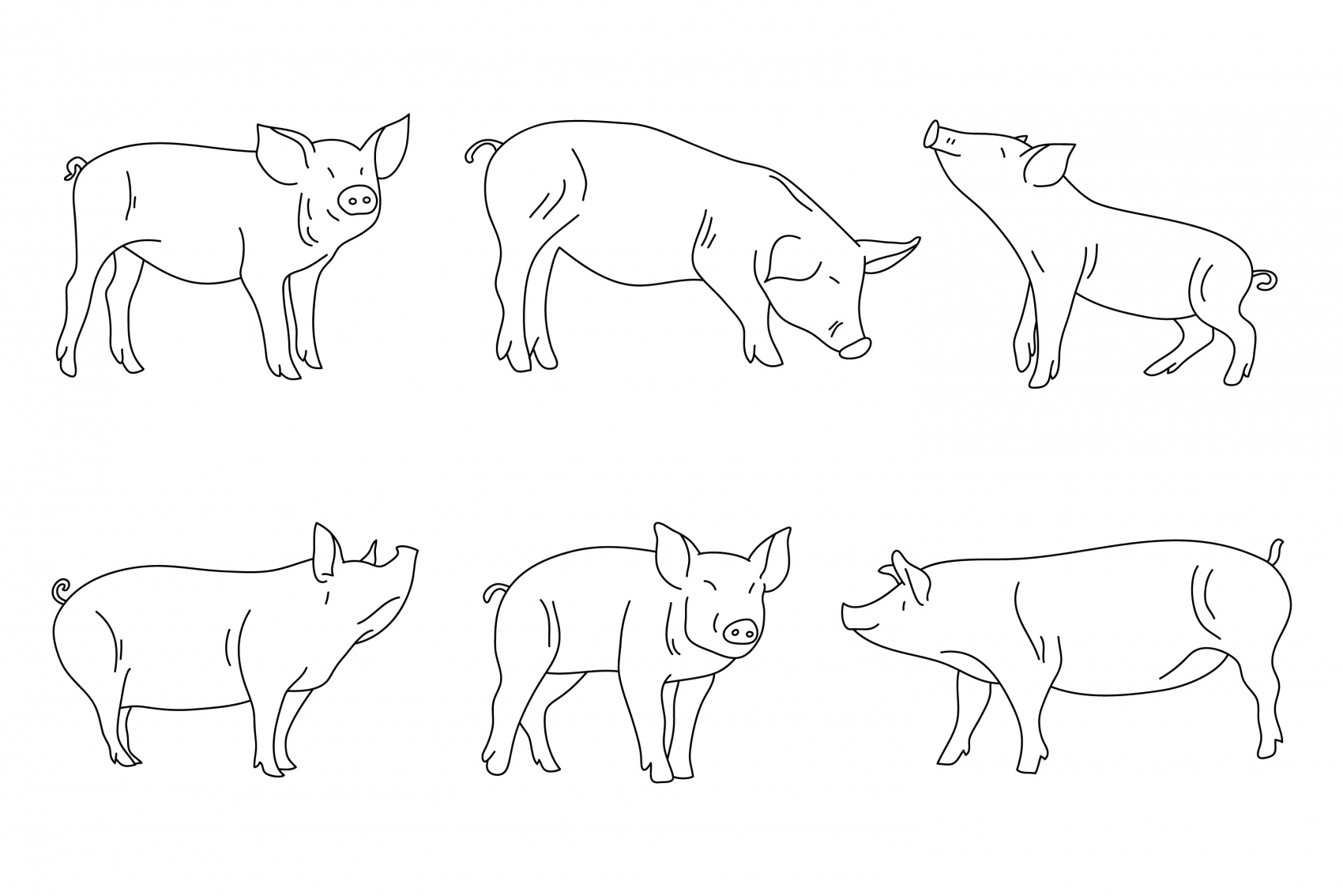 可爱的卡通小猪简笔画素材下载图片