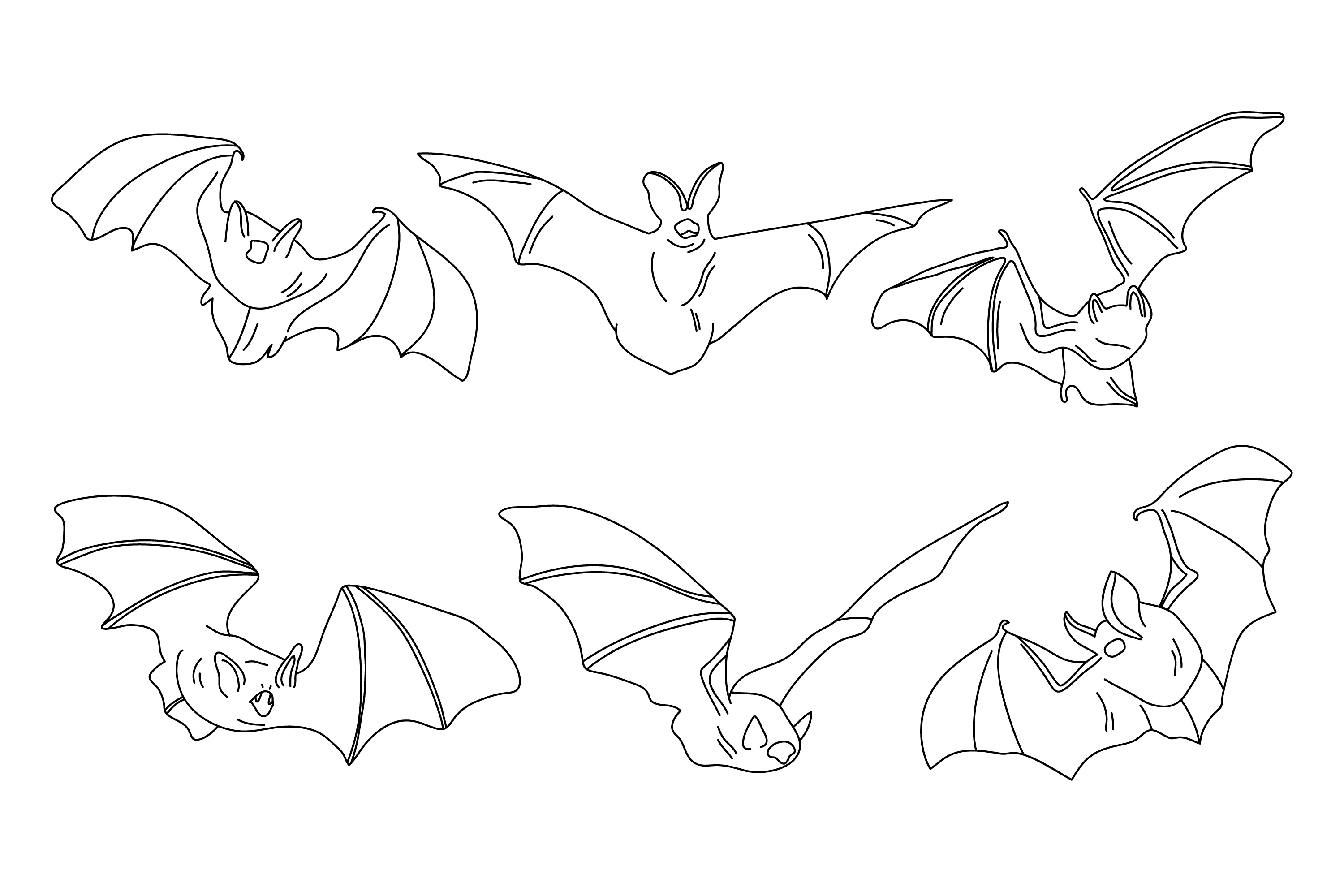 卡通小蝙蝠简笔画画法图片步骤💛巧艺网
