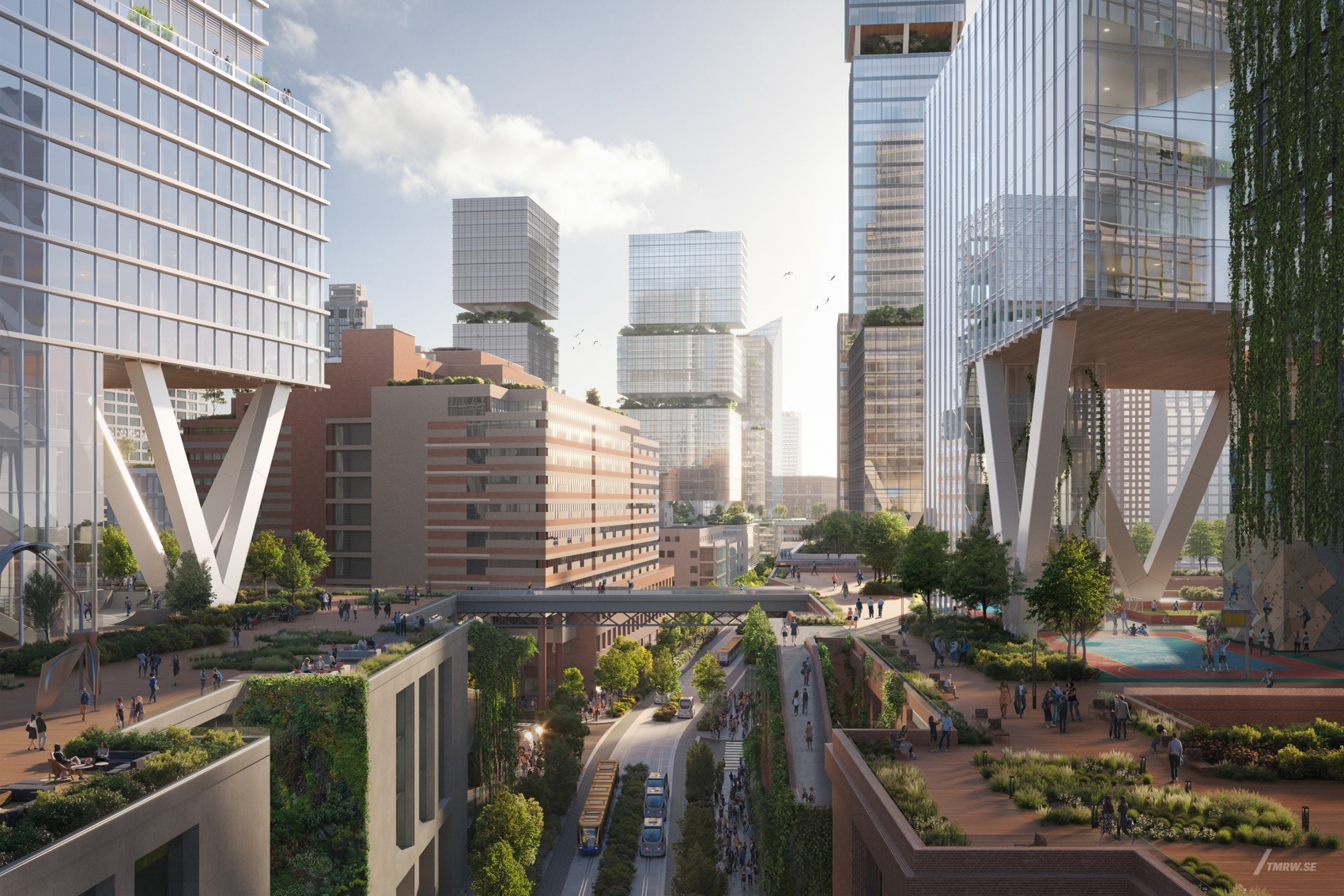 纽约HOK建筑群图片