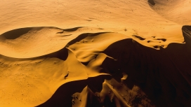 流淌的金色沙丘