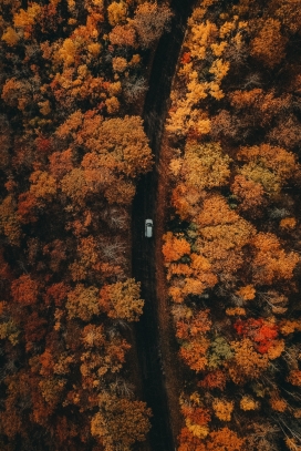 航拍秋季行驶在森林马路中的汽车