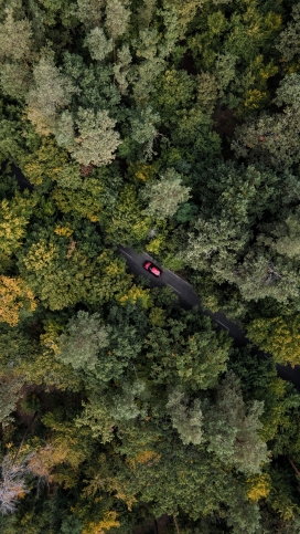高空航拍行驶在森林公路上的红色汽车