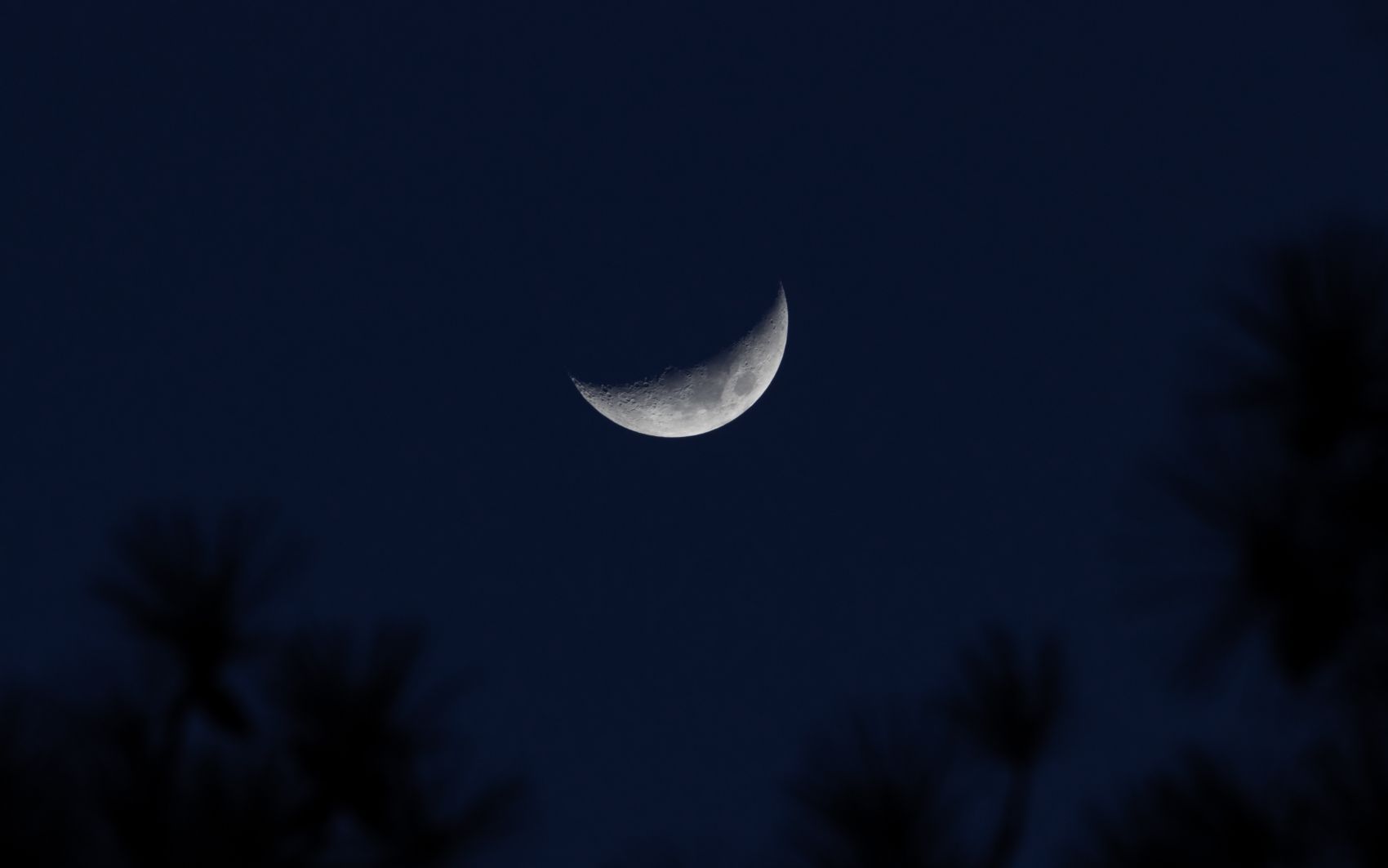 傍晚的月牙图片