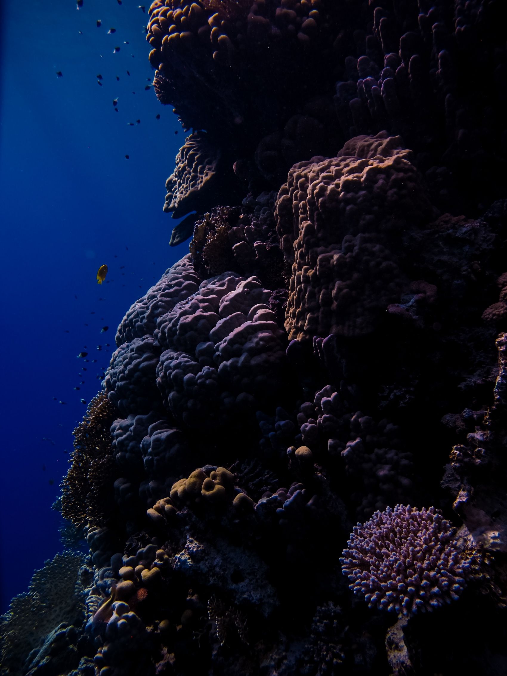 任家台礁石公园|摄影|风光|niulibo - 原创作品 - 站酷 (ZCOOL)