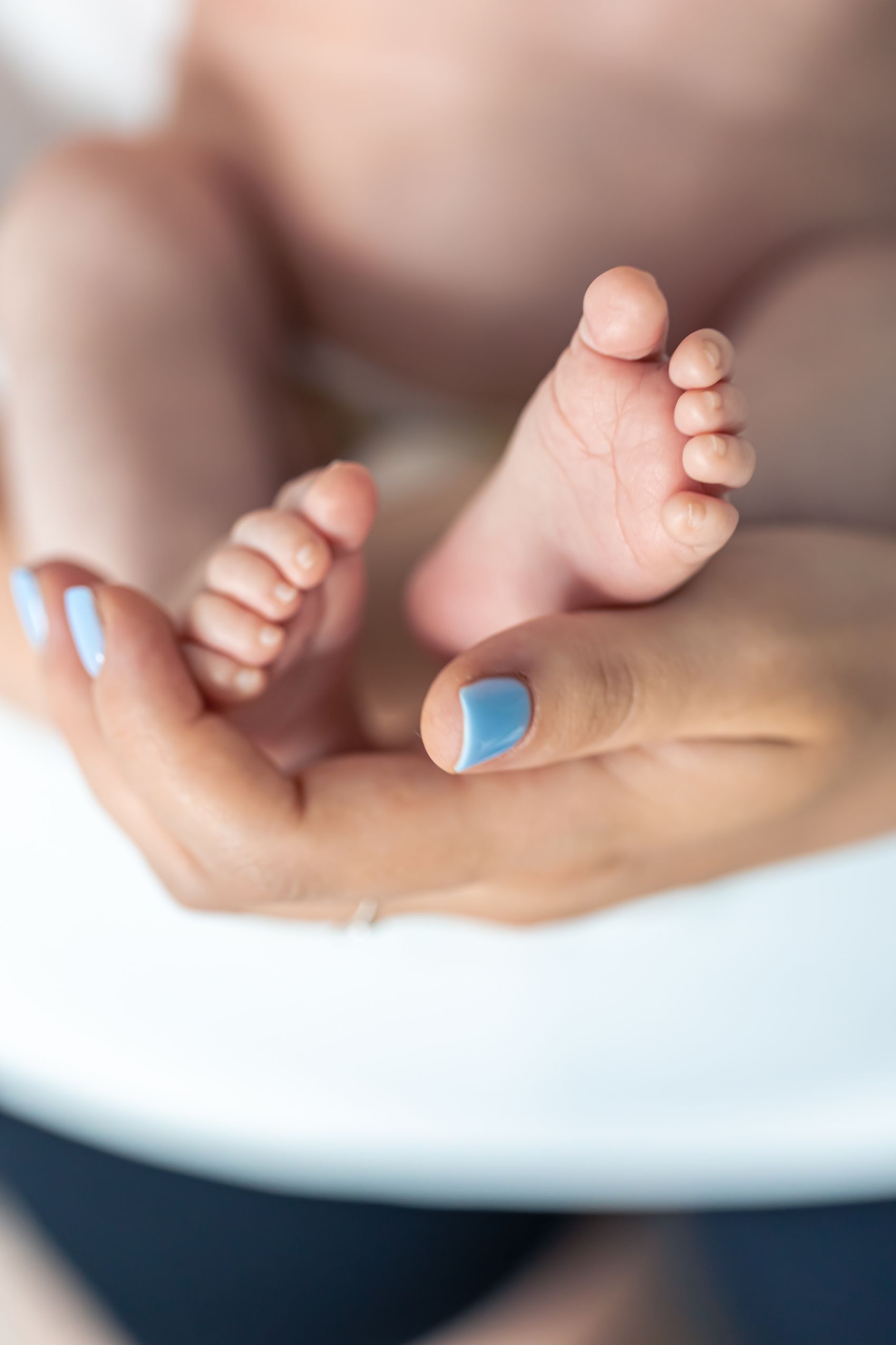 手捧婴儿小脚图图片