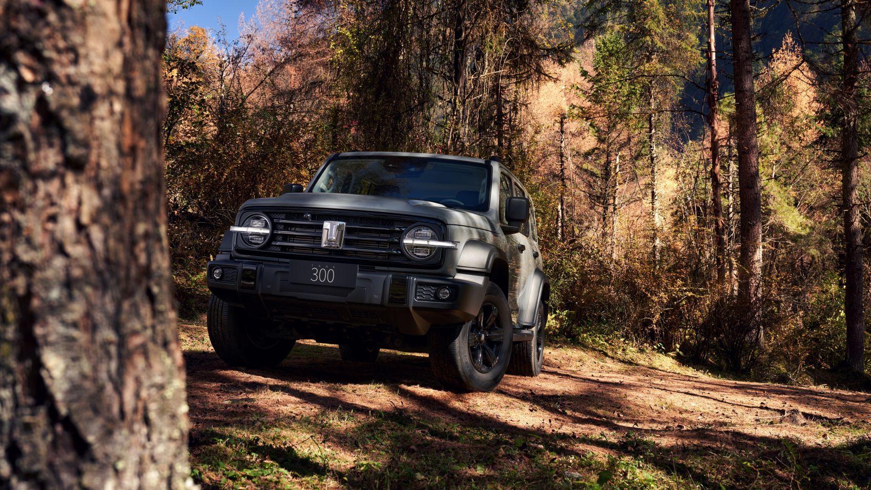 TANK 300-坦克300汽车摄影图封面大图