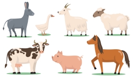 卡通家禽牲畜动物素材下载