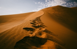金色沙漠的大脚印图
