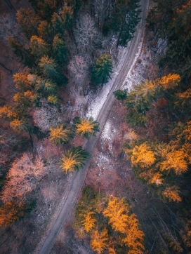 秋季俯拍的森林公路