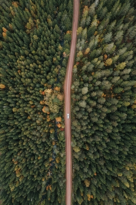 无人机高空俯拍的森林笔直马路