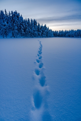 北极圈之外的风景
