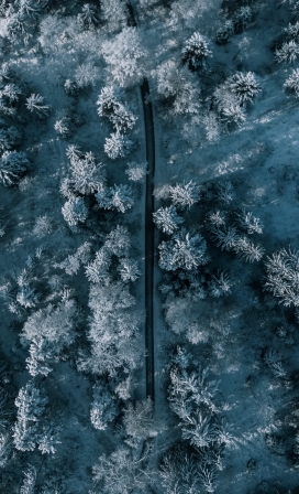 高空俯拍的森林雪路