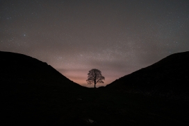 星空山丘脚下的独树