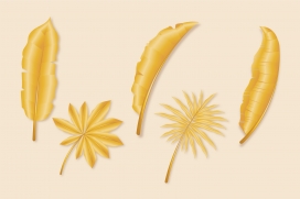 逼真的金叶插图