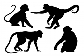 手绘猴子剪影系列