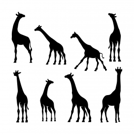 各种姿势的长颈鹿黑白剪影素材下载
