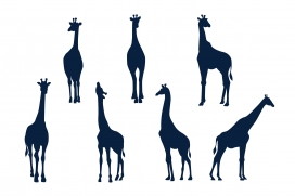 黑色多种姿态的长颈鹿动物剪影素材