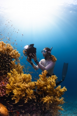 深海用水下相机给珊瑚礁拍照的摄影师
